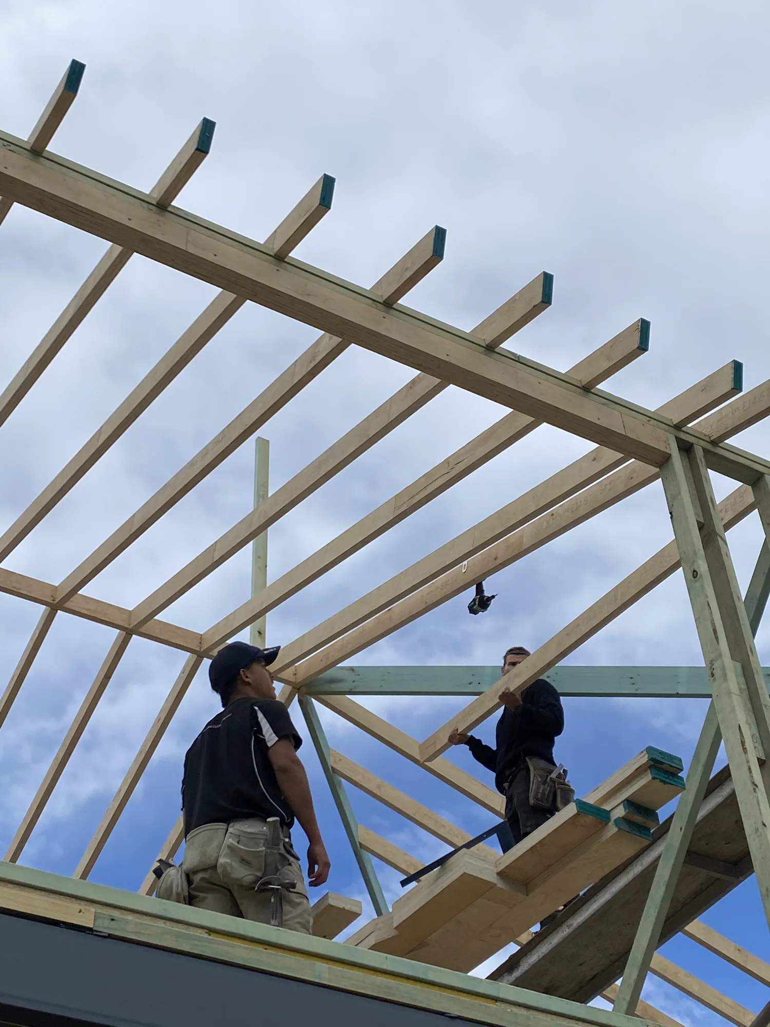 Site-cut structural rafters aligned over a residential extension in Maroubra