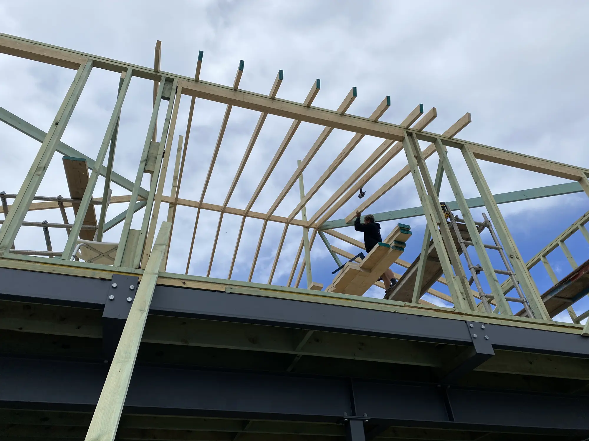 Rafter spacing and ridge geometry set out during a Maroubra roof extension